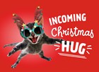 Kerstkaart Grappig Incoming Christmas hug